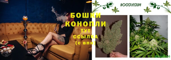 прущие крисы Белокуриха