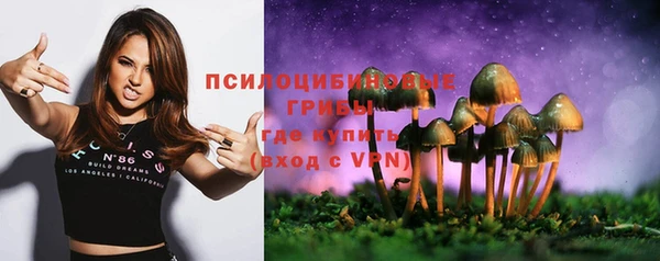 прущие крисы Белокуриха