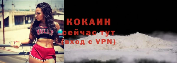 прущие крисы Белокуриха